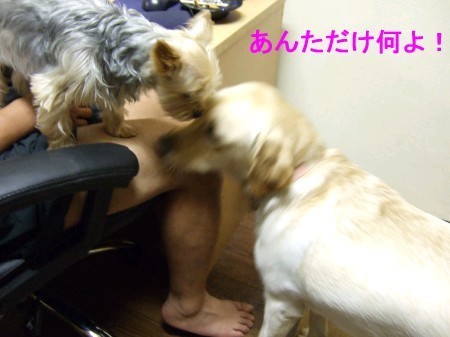 れなと (6)