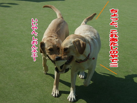 ミクニ3