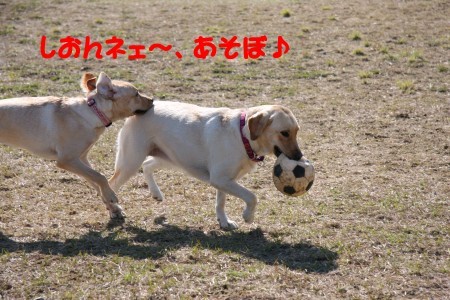 あそぼ
