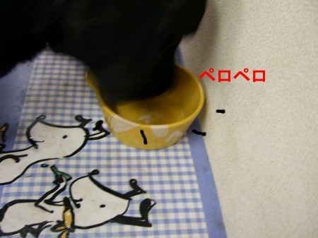 ご飯の時間 079