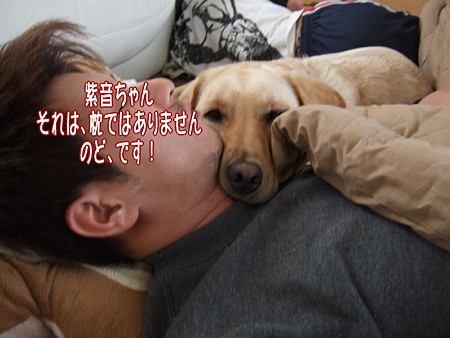 のど枕
