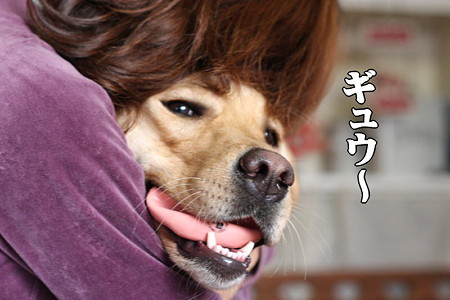 ギュウ