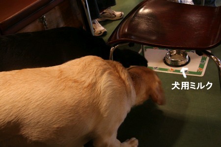 よそ様のミルク