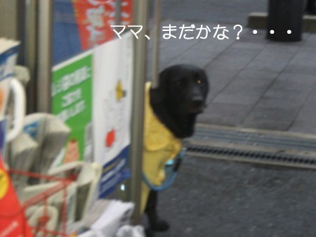 コンビニ前で待ち中