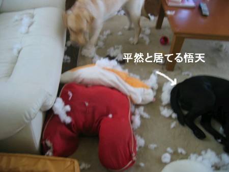 悟天特集だ~3
