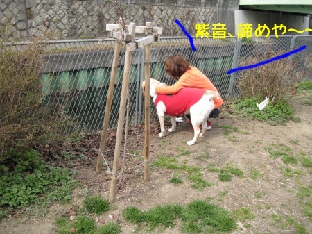 なぐさめられる