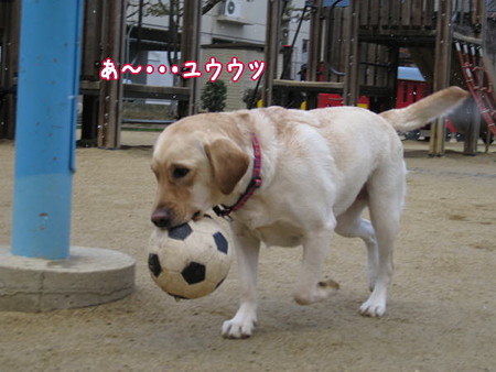 公園1