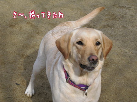 公園4