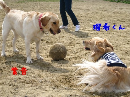 紫音と瑠希
