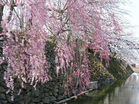 2009年4月12日 高島城など (38)