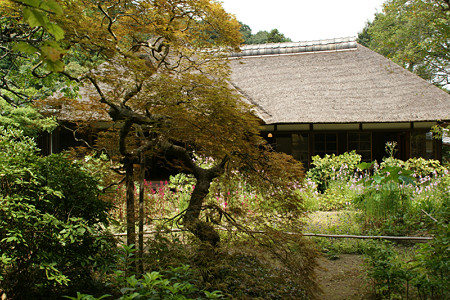 浄智寺書院の奥庭0906a