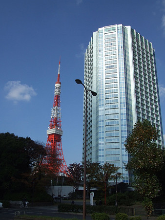 東京タワーとビル1113w