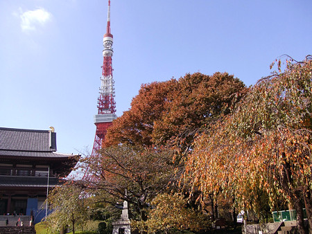 紅葉の東京タワー1113s