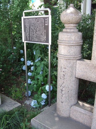 にほんばしの紫陽花0621ta