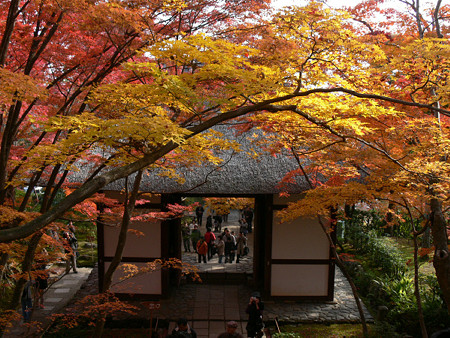 常寂光寺1126te