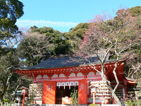 荏柄天神社紅梅0127tb