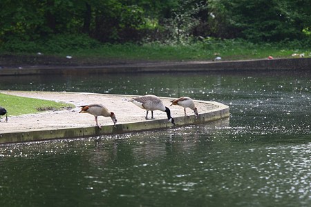 DPP_1009 - Copy