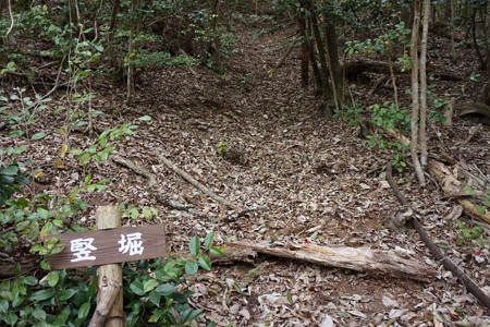 淀山城 - 05