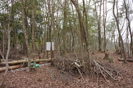 東山城 - 05