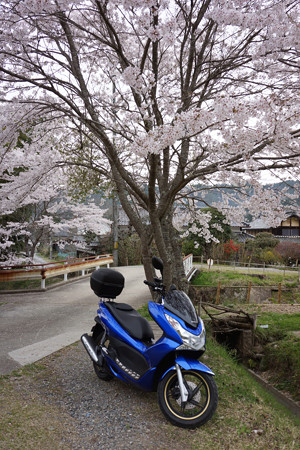 南山城 - 12