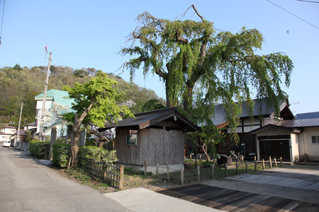 建福寺 - 1
