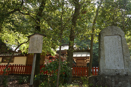 鷺森神社 - 05
