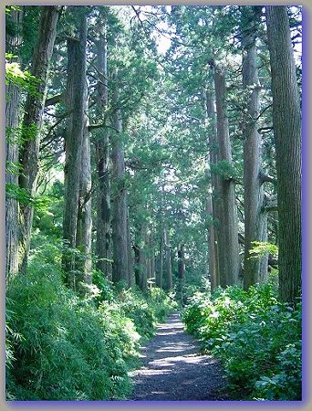 箱根 018