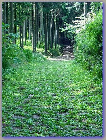 箱根 039