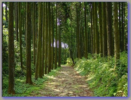 箱根 043