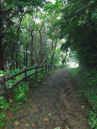 DSCN3623
