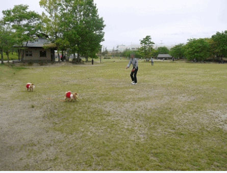 けいはんな公園