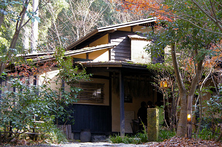 IMGP4929