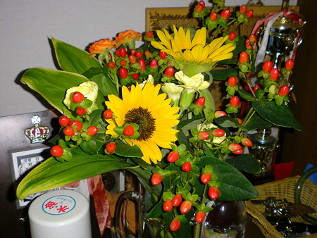 DSC00208