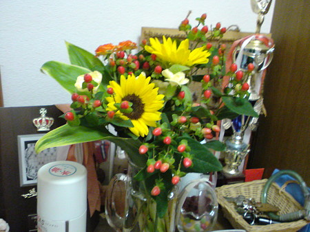 DSC00207