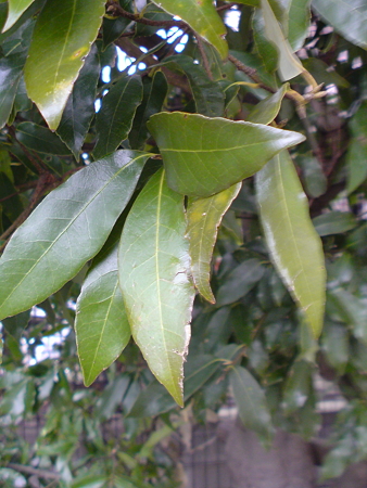 DSC00094
