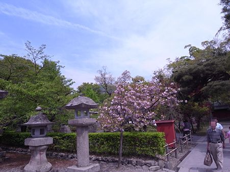 R0010089