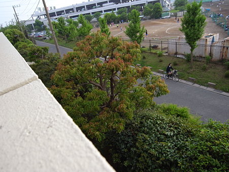 R0010152