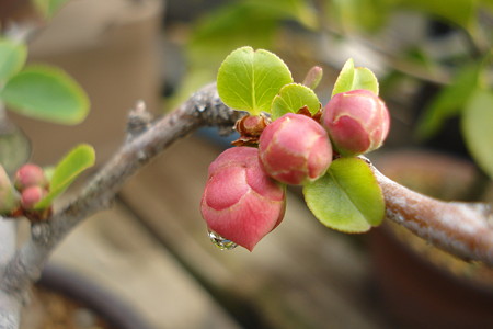 DSC03300