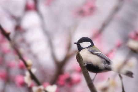 旅立ちの時