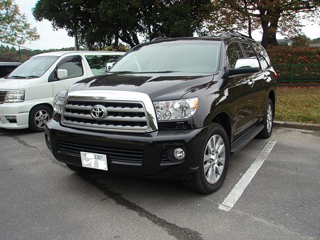 SEQUOIA FRONT