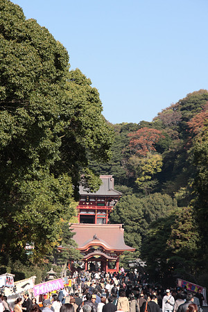 鶴岡八幡宮