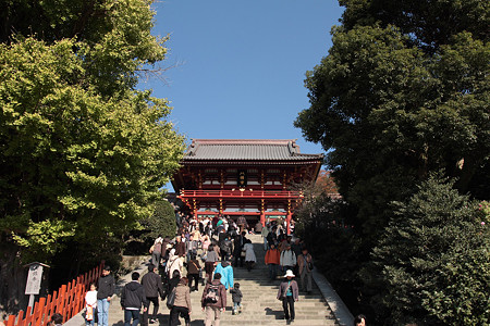 鶴岡八幡宮