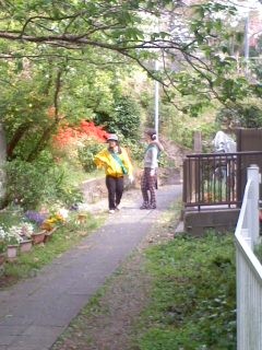 新緑の道(4月16日、小袋谷町内会)