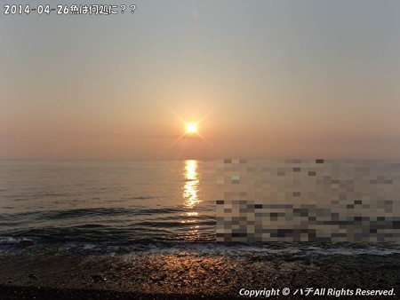 2014-04-26魚は何処に?? (1)
