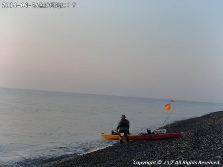 2014-04-26魚は何処に?? (2)