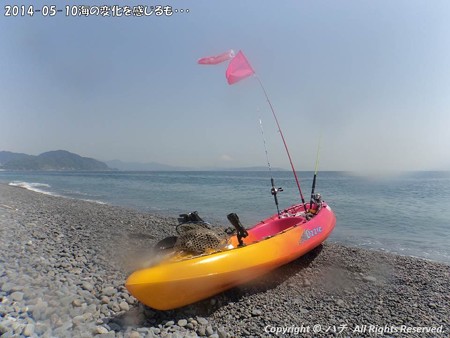 2014-05-10海の変化を感じるも・・・ (10)