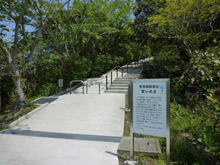 P1030886