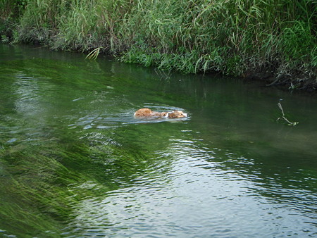 P7190077