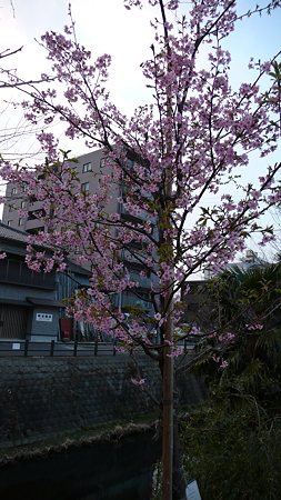 P1020660