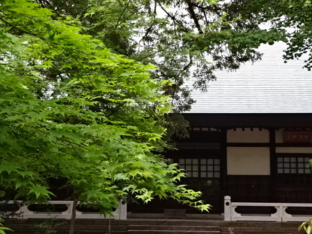 2014-05-05b ≪浄眞寺≫